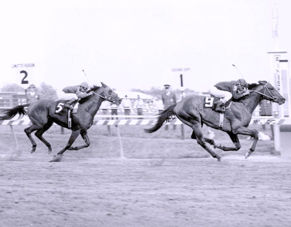 Canonero ll - Gustavo Avila - Preakness Stakes 1971 - Archivo Daily Racing Form