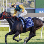 Ceolwulf - King Charles III Grupo 1 - Sky Racing World