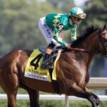 Chancer McPatrick - Barbara D. Livingston - Daily Racing Form