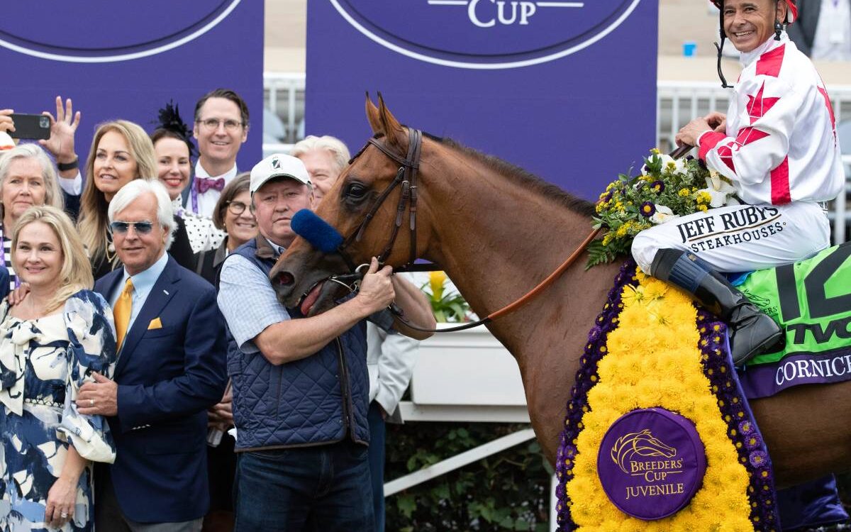 Corniche - BC Juvenile 2021 - Barbara D. Livingston / Daily Racing Form