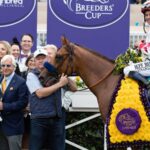 Corniche - BC Juvenile 2021 - Barbara D. Livingston / Daily Racing Form
