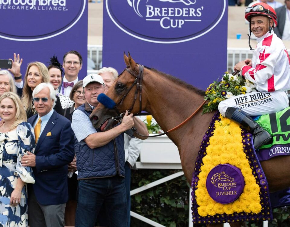 Corniche - BC Juvenile 2021 - Barbara D. Livingston / Daily Racing Form