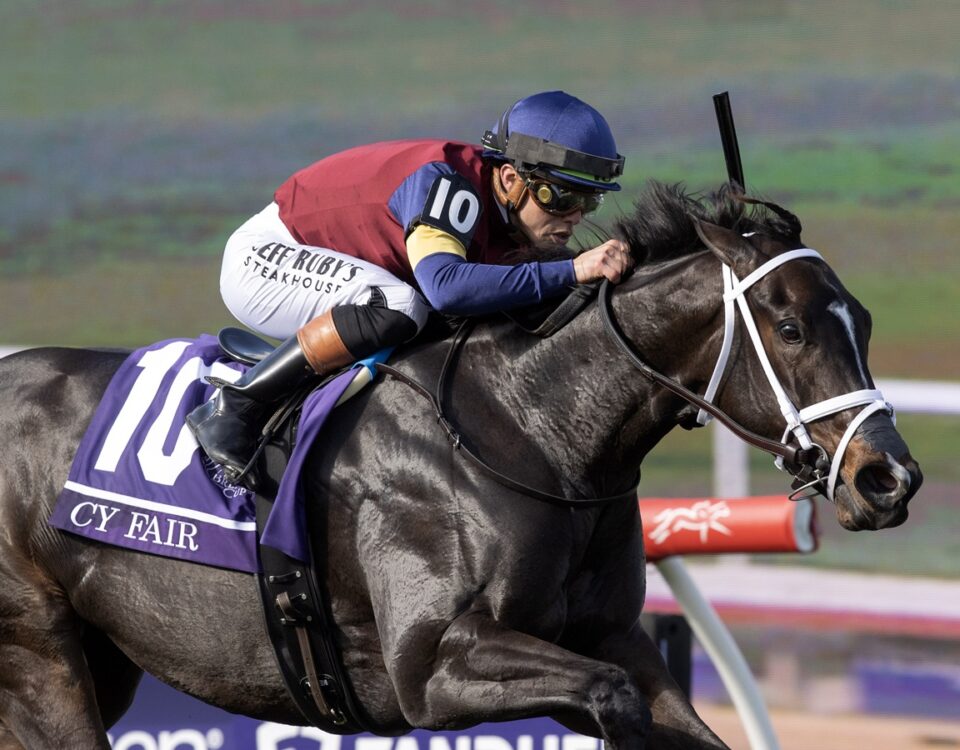 Cy Fair - BC Juvenile Turf Sprint - Barbara D. Livingston - Daily Racing Form