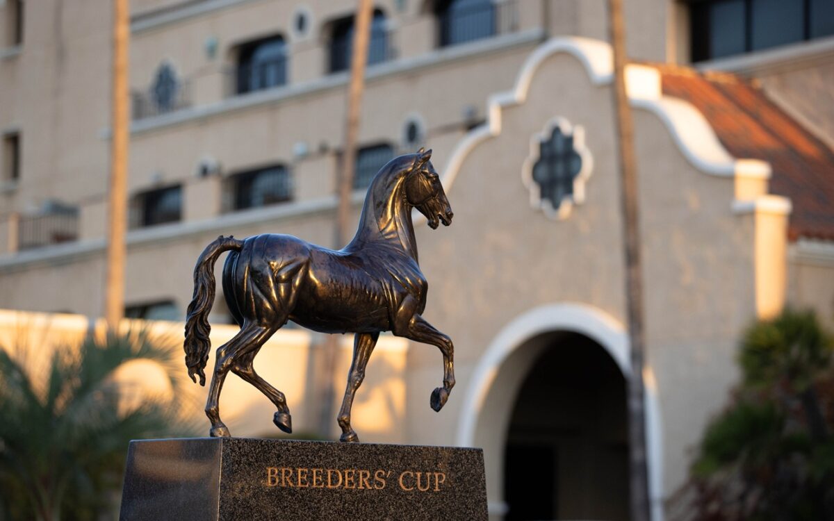 Breeders' Cup - Barbara D. Livingston /Daily Racing Form