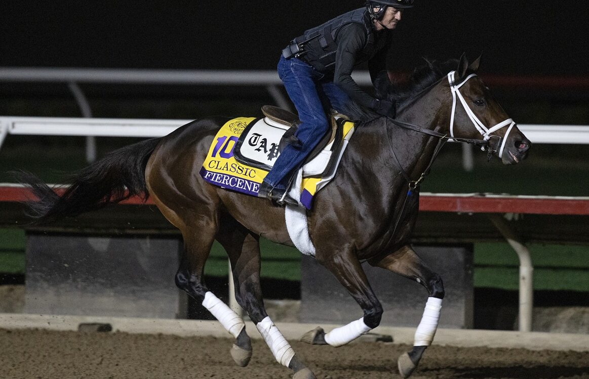 Fierceness Workout - Barbara D. Livingston - Daily Racing Form