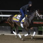 Fierceness Workout - Barbara D. Livingston - Daily Racing Form