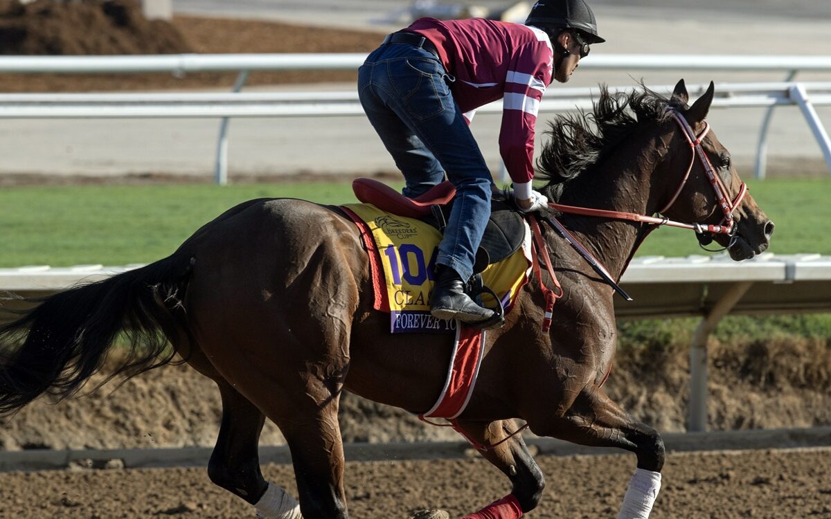 Forever Young - Foto: Barbara D. Livingston / Daily Racing Form