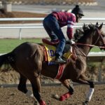 Forever Young - Foto: Barbara D. Livingston / Daily Racing Form