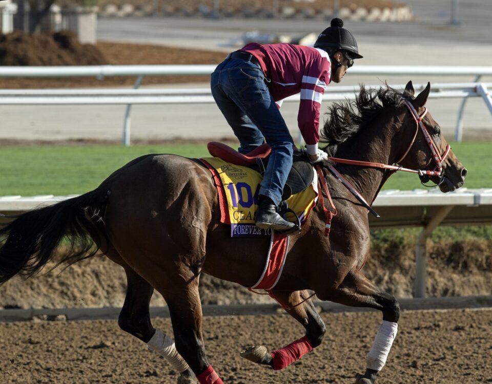 Forever Young - Foto: Barbara D. Livingston / Daily Racing Form