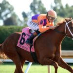 Further Ado - Irad Ortiz Jr. - Coady Media