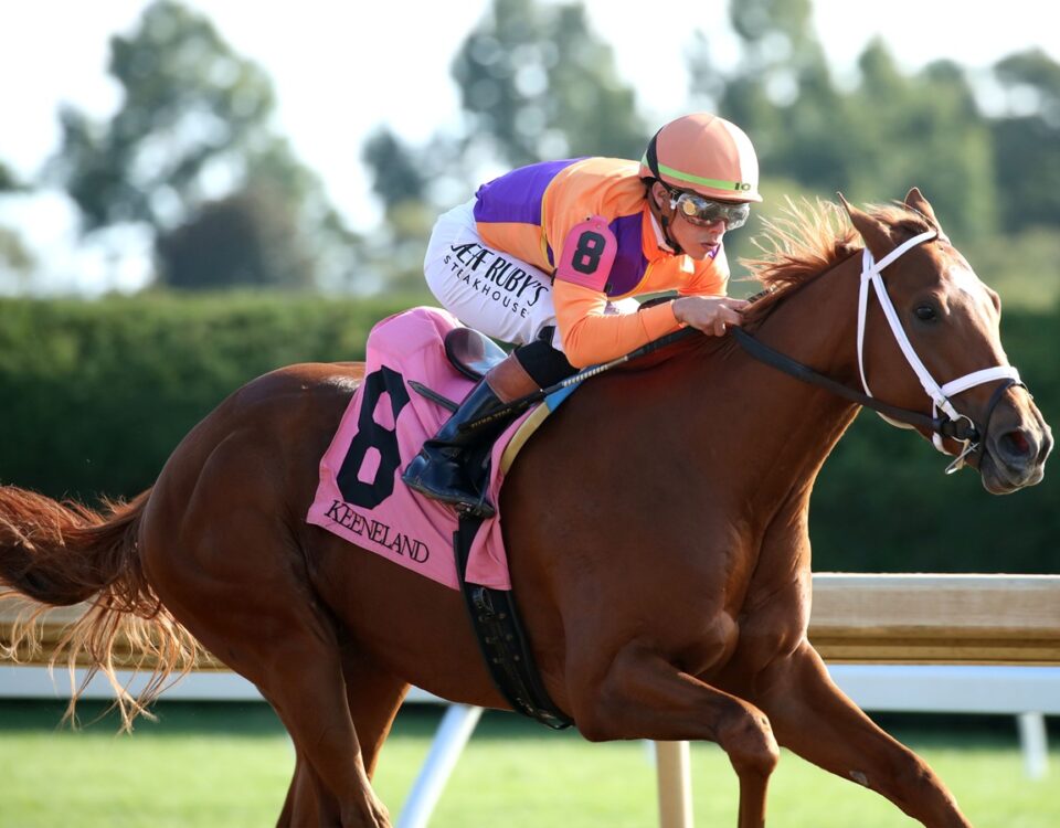 Further Ado - Irad Ortiz Jr. - Coady Media