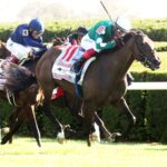 Imaginationthelady - Jessamine Stakes G2 - Coady Media
