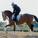 Journalism - Barbara D. Livingston - Daily Racing Form