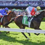 Ka Ying Rising - TAB The Everest G1 - Sky Racing World