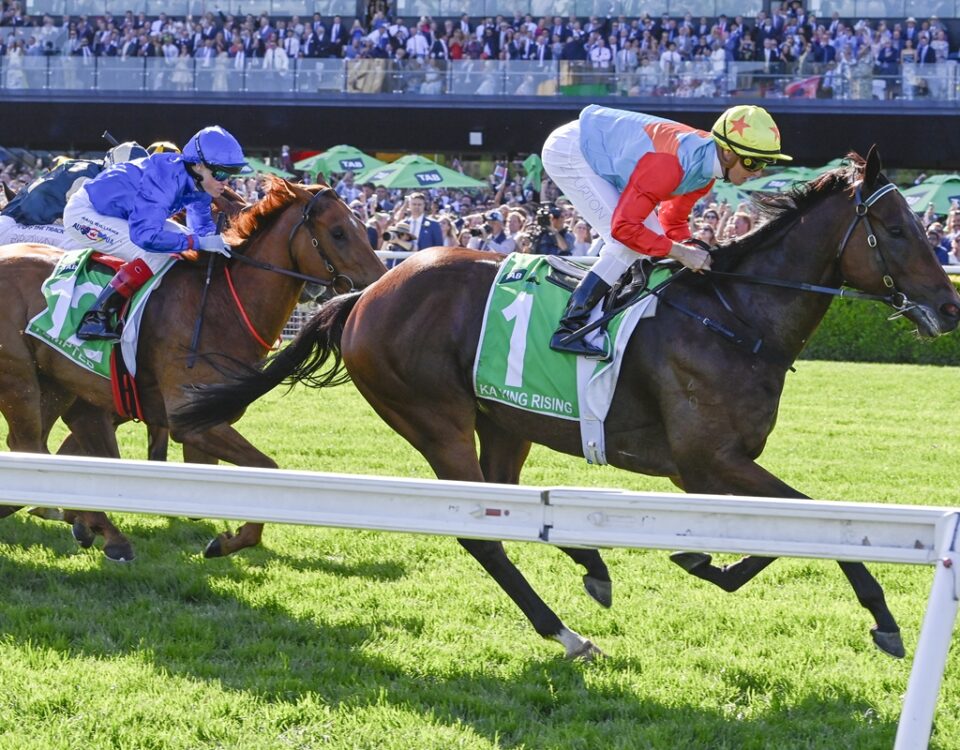 Ka Ying Rising - TAB The Everest G1 - Sky Racing World