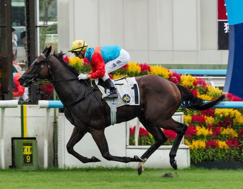 Ka Ying Rising - for editorial purpose only - via Sky Racing-World