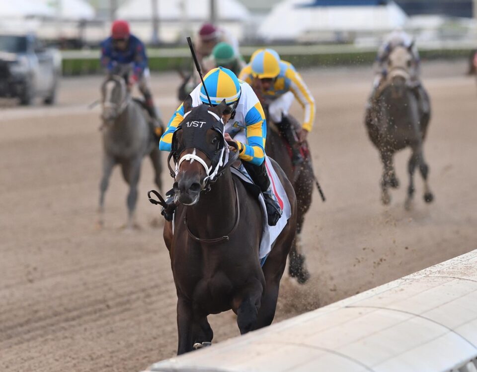 Khozalite - Florida Sire Affirmed Stakes- Ryan Thompson - Coglianese Photo