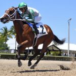Mythical - Ryan Thompson - Coglianese Photo