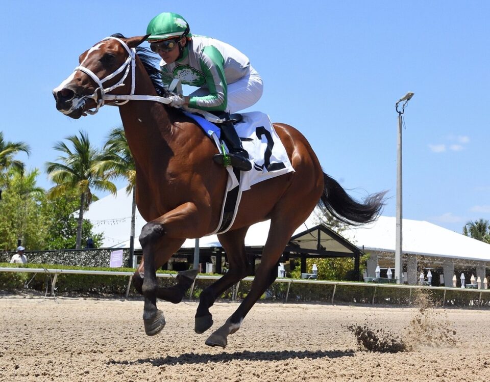 Mythical - Ryan Thompson - Coglianese Photo