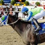 Onyx Ten - Maryland Million Distaff - Jeffrey Snyder TMJC