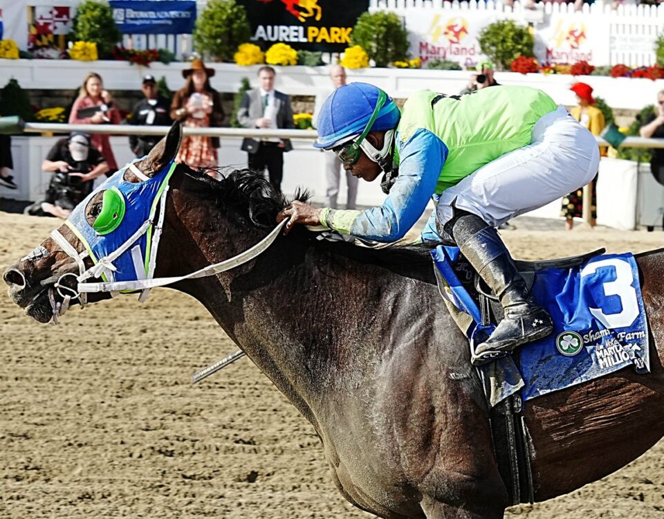 Onyx Ten - Maryland Million Distaff - Jeffrey Snyder TMJC