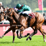 Daryz - Prix de l'Arc de Triomphe - Pat Healy