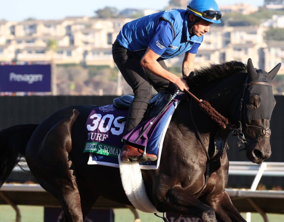 Rebel's Romance - Susie Raisher - Daily Racing Form