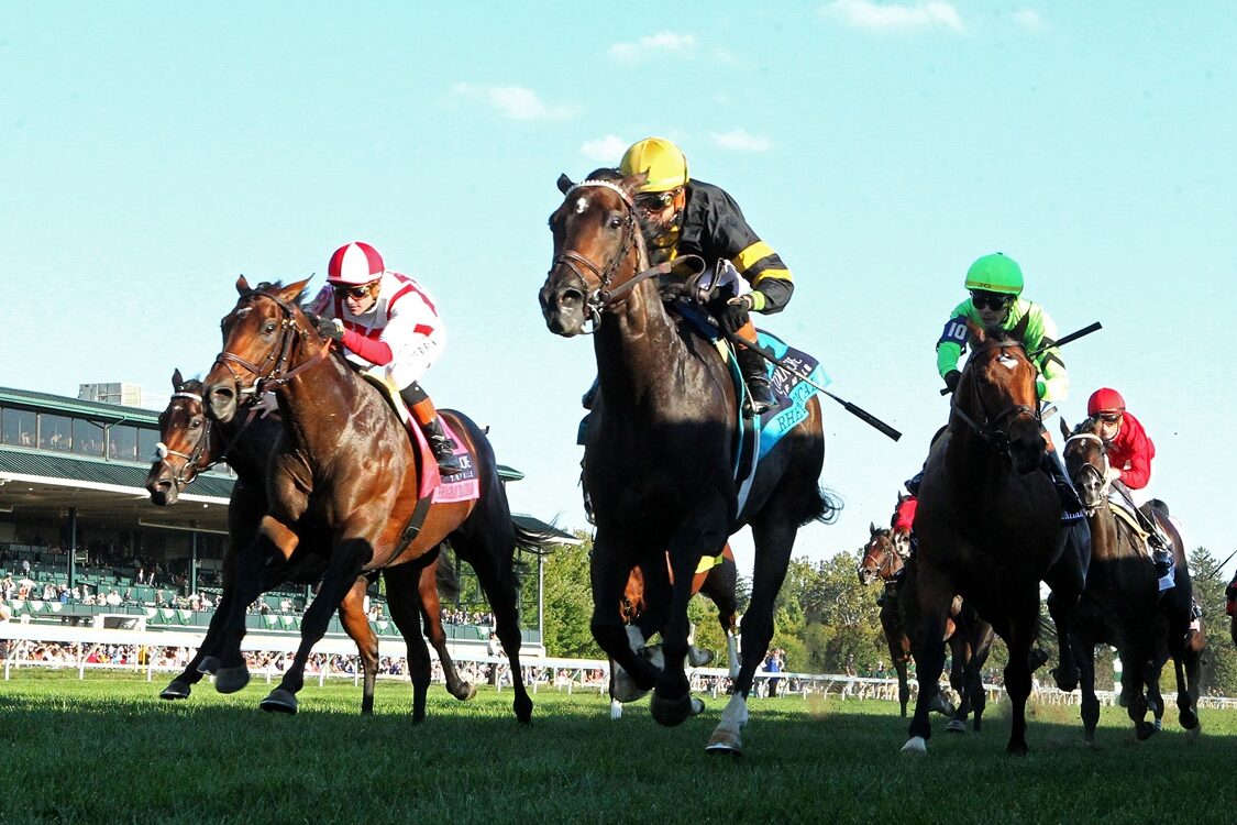 Rhetorical - Coolmore Turf Mile G1 - Coady Media