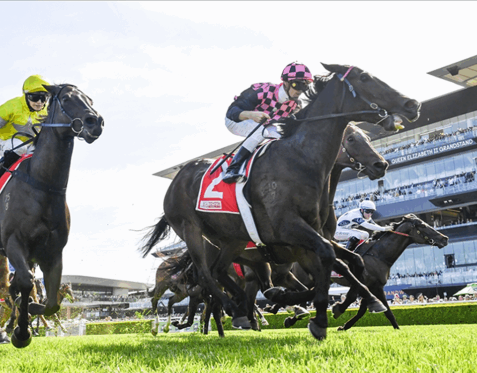 Rothfire - Sydney G3 - Bradley Photos - Sky Racing World