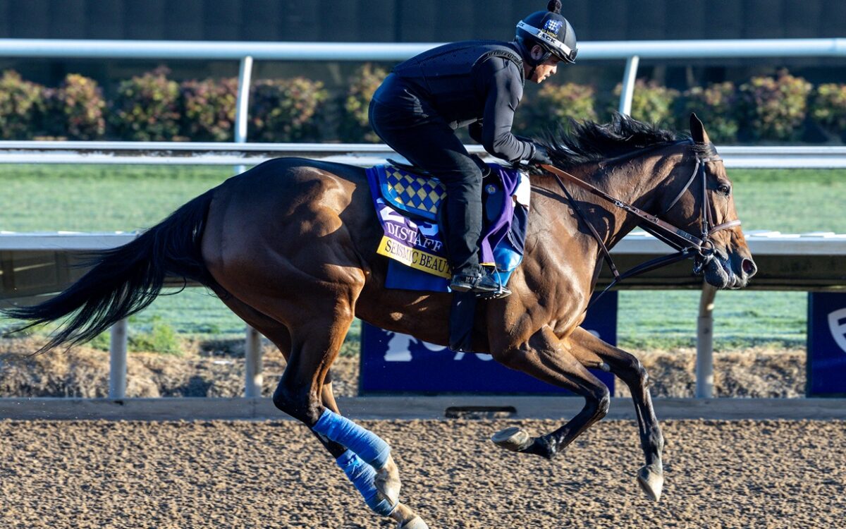 Seismic Beauty - Debra A. Roma - Daily Racing Form