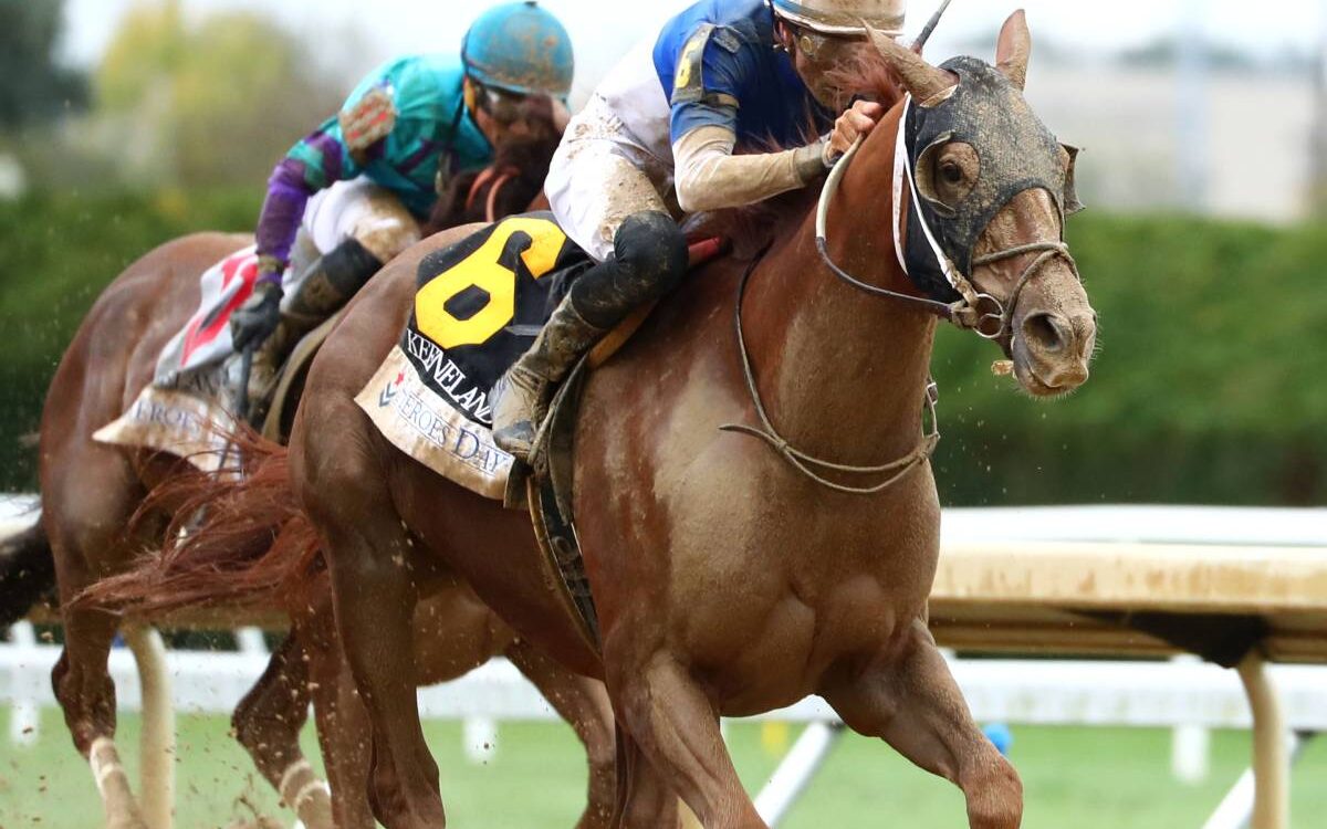 Shot Of Courage - Coady Media