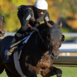 Sierra Leone - Barbara D. Livingston - Daily Racing Form