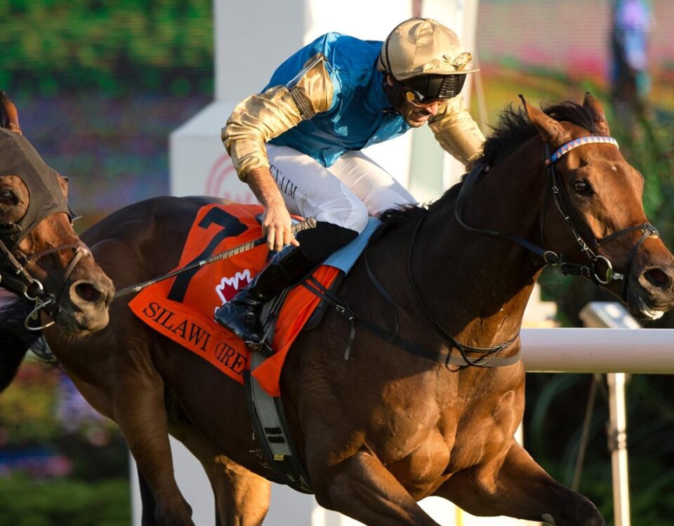 Silawi - Canadian International G1T - Woodbine - Michael Burns