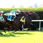Simply In Front - First Lady G1 - Coady Media