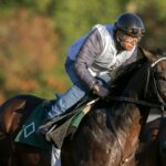 Sovereignty - Barbara D. Livingston - Daily Racing Form