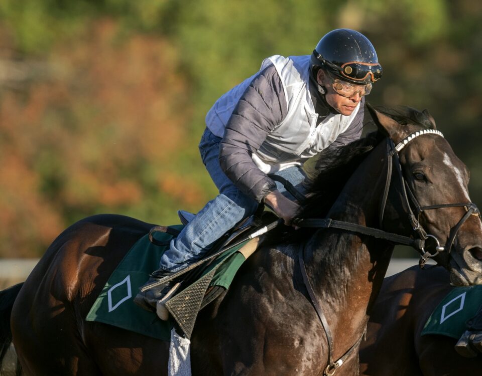Sovereignty - Barbara D. Livingston - Daily Racing Form
