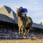 Sovereignty - Coglianese Photo