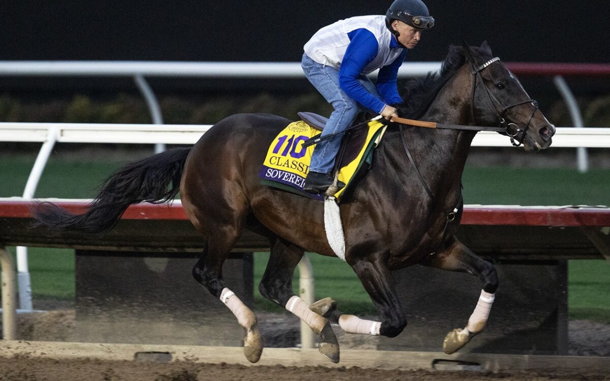 Sovereignty Workout - Barbara D. Livingston - Daily Racing Form