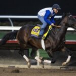 Sovereignty Workout - Barbara D. Livingston - Daily Racing Form