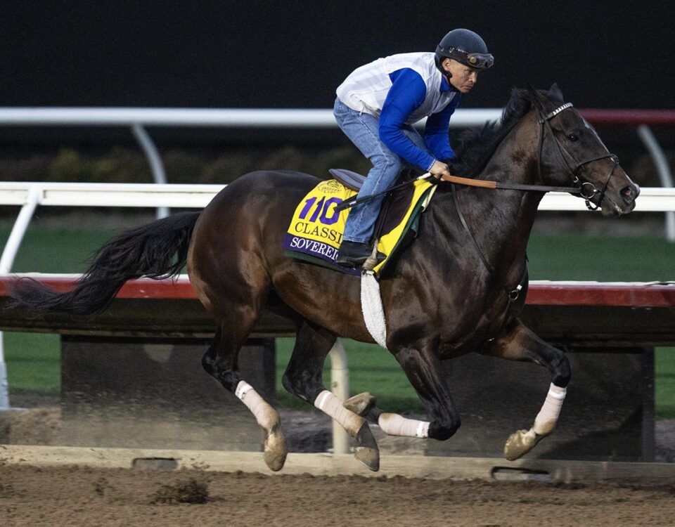 Sovereignty Workout - Barbara D. Livingston - Daily Racing Form