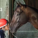 Sovereignty y Junior Alvarado - Debbie Roma - Daily Racing Form