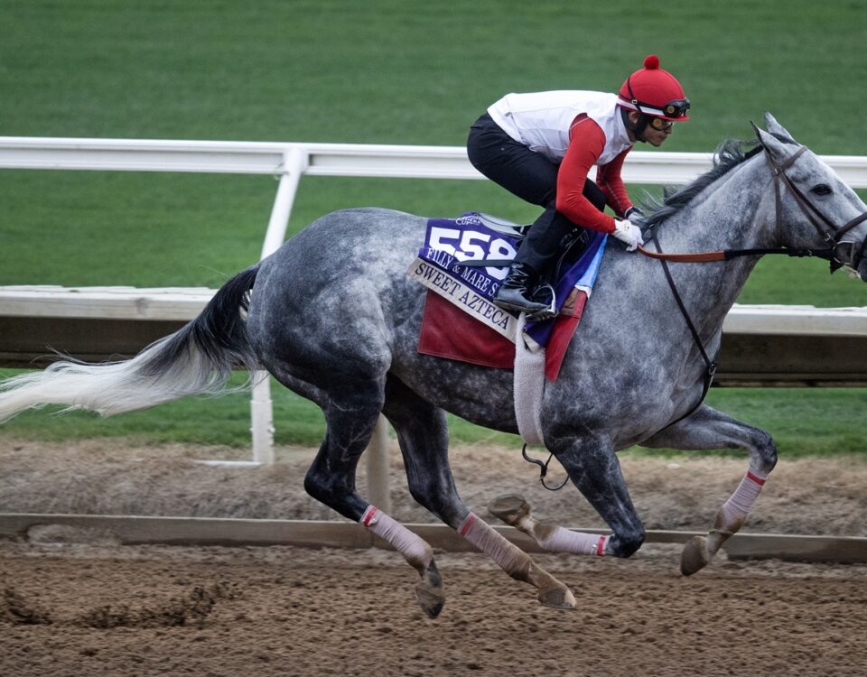 Sweet Azteca - Barbara D. Livingston - Daily Racing Form