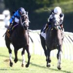 TIME TO DAZZLE - The 29th Running of The Franklin G-II - Keeneland Race Course - Barbara Barclay - Coady Photo