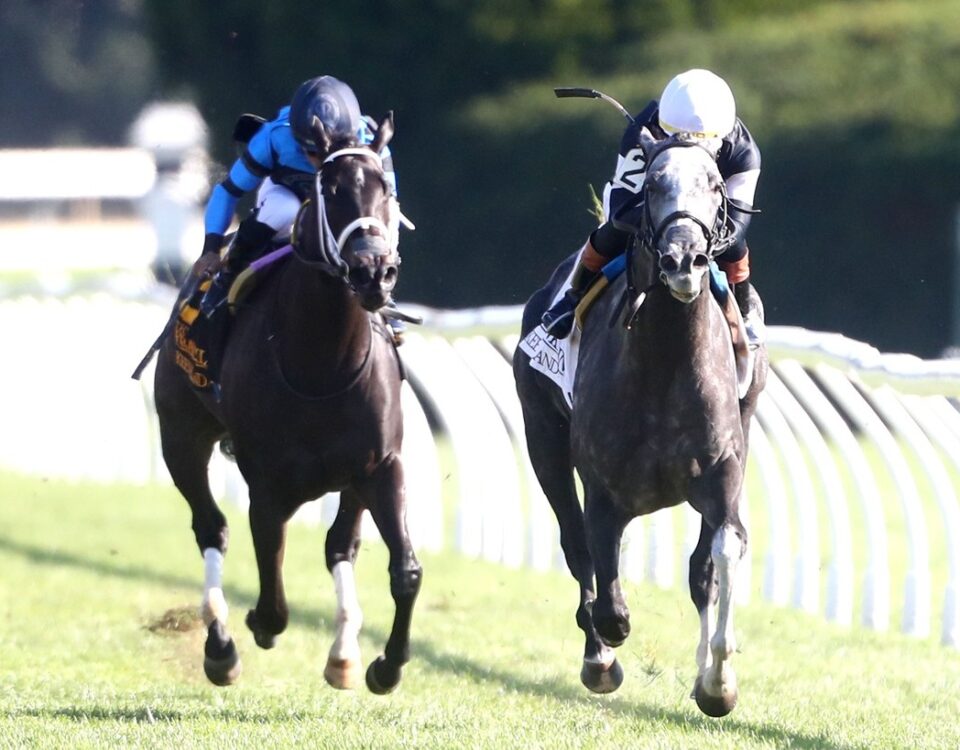 TIME TO DAZZLE - The 29th Running of The Franklin G-II - Keeneland Race Course - Barbara Barclay - Coady Photo