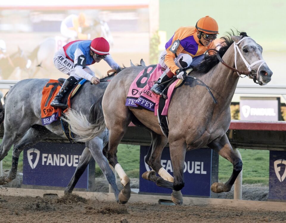 Ted Noffey - BC Juvenile - Barbara D. Livingston - Daily Racing Form