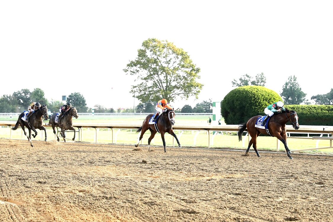 Tommy Jo - Alcibiades G1 - Coady Media