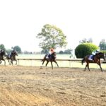 Tommy Jo - Alcibiades G1 - Coady Media