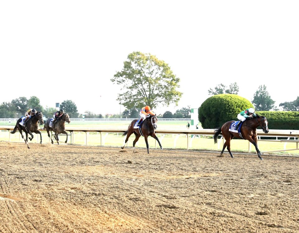 Tommy Jo - Alcibiades G1 - Coady Media