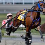 Twin B Joe Fresh - Barbara D. Livingston - Daily Racing Form
