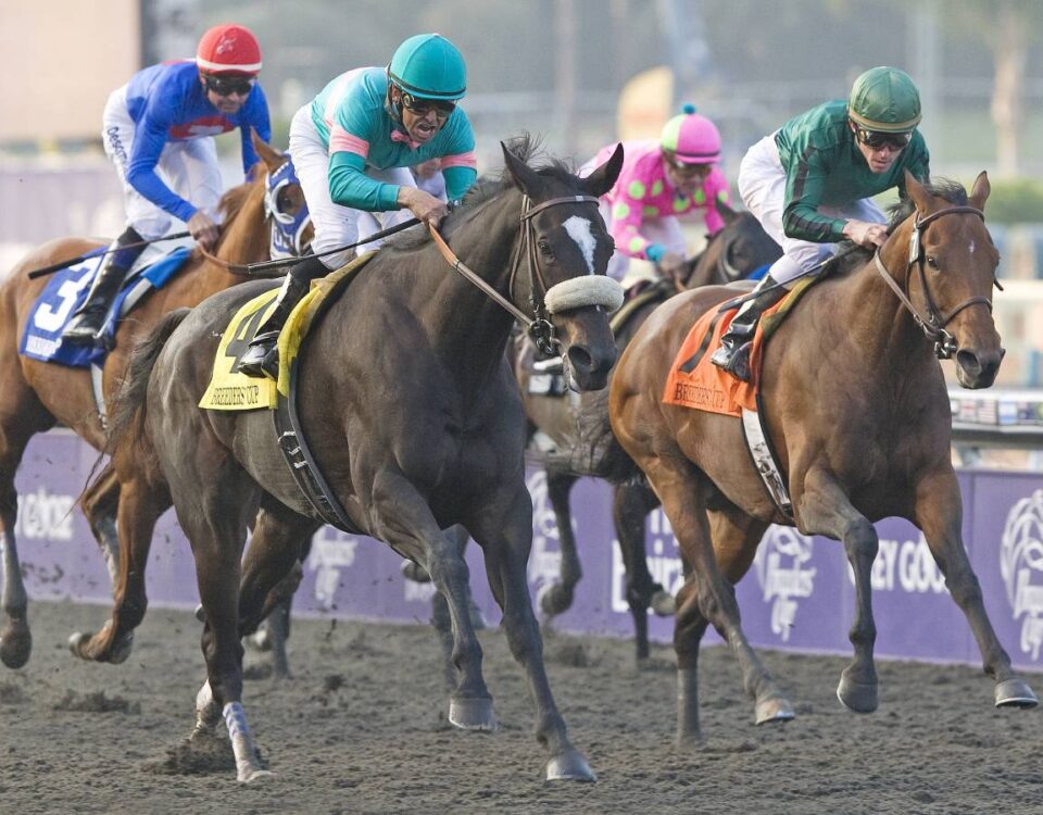 Zenyatta - BC Classic 2009 - Barbara D. Livingston - Daily Racing Form
